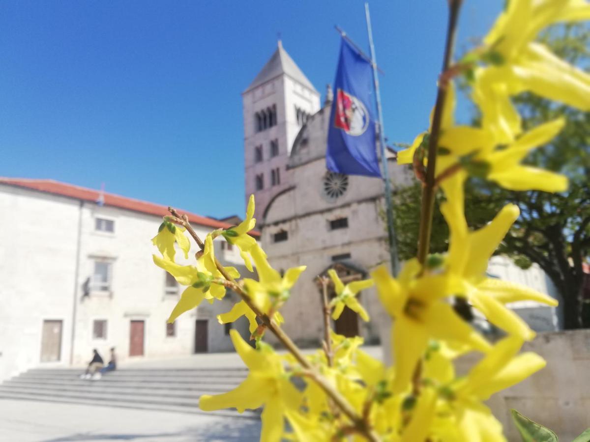 Apartman Pegla Zara Esterno foto